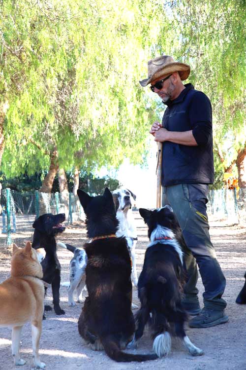 conocenos-hotel-canino-la-pradera