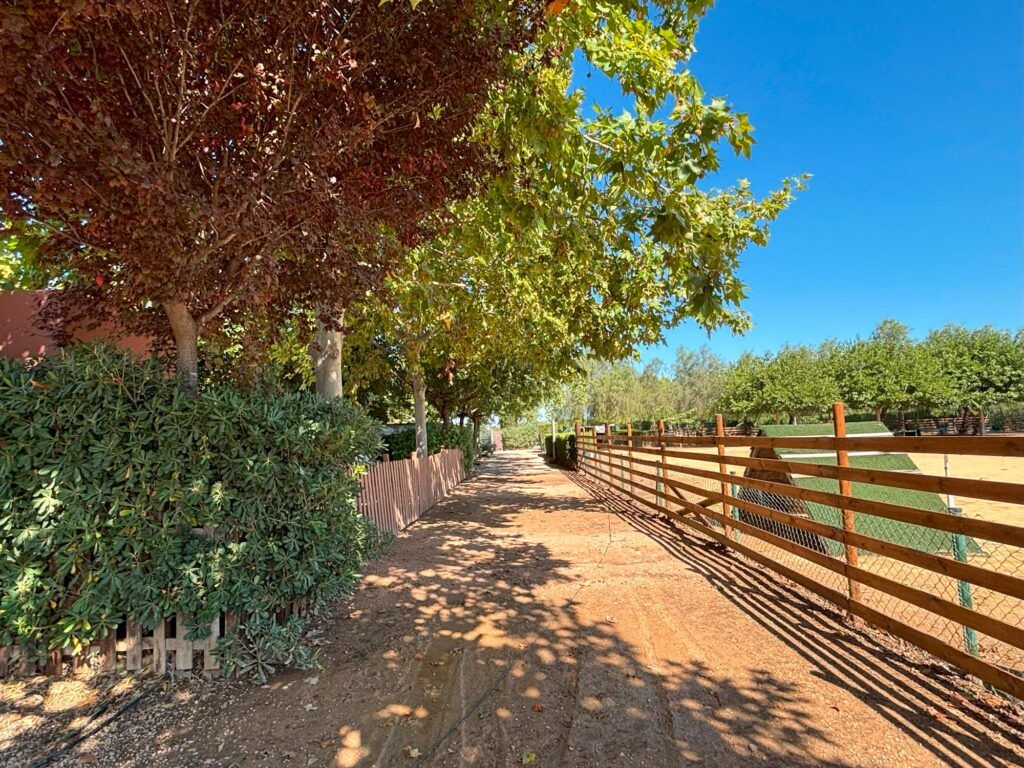 pasillo-pista-horizontal